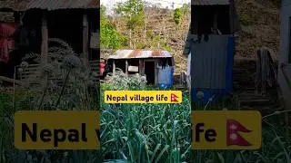 Nepal village tour 🇳🇵| fun short clip | Nepal typical house 🏠 | remote area Nepal lifestyle #nepal