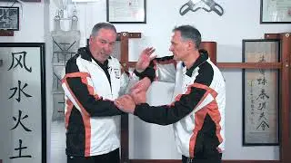 Wing Chun Basics - Lahn Sau