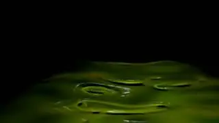 Lama verde animação Blender 2.67b