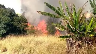 Fogo no quintal do Benjamin Steinbruch