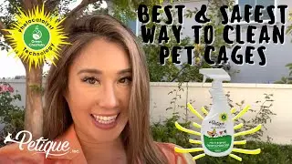 How Petique PHOTOCATALYST Multipurpose Spray is the Best/SAFEST Way to Clean Your Dog and Bunny Cage