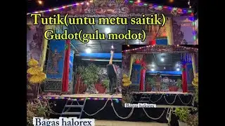 Tutik dan gulumodot !!!! JANGER PUSPO TARUNO