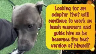 MEET TERRY BENEDICT AT KC PET PROJECT 