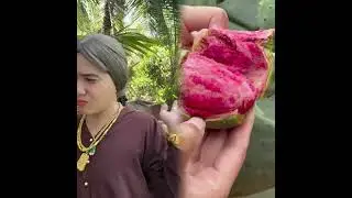 🤣👌👌👌2025 pov Must-Watch Crazy Clips Compilation #foryou #youtubeshort#funny#humor #fypシ #pov #fyp 😍😜