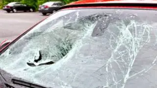 NC's Expert in Home Windows Installation & Auto Glass Repair