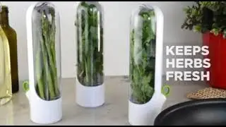 Multifunction Refrigerator Fruit Vegetable Crisper Vanilla Fresh Herb Keeper Herb Storage Container