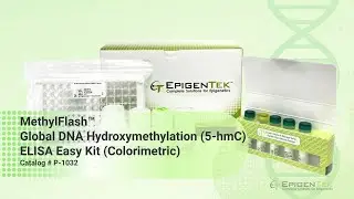 Global DNA Hydroxymethylation (5-hmC) Quantification ELISA | MethylFlash&trade; User Guide