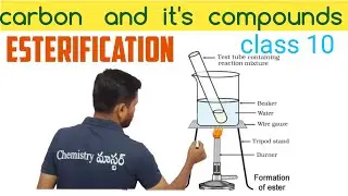 Formation of esters along with activity in telugu 10th class 