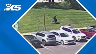 BREAKING: President Trump reports Charlie Kirk murder suspect has been arrested