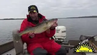 The 411 - Using the OR36 Tadpole Diver by Off Shore Tackle
