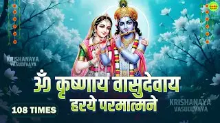 Krishnay Vasudevay Harye Parmatmane 108 Times | कृष्णाय वासुदेवाय | Krishna Mantra 108 Times