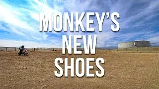 Honda Monkey | Getting The Kenda Big Blocks A Little Dirty