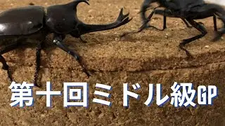 カブトムシクワガタ最強決定戦 第10回ウェルター級GP(旧ミドル級)