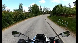 Suzuki vs deer on the road and some midsummer cruising