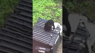 Dumpster Diving Maine Style