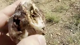 Exploring the Forgotten Backside Mines of Mingus Mountain | Arizona
