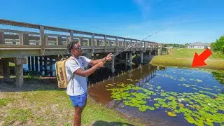 Fishing My Dream Spots for the First Time &ndash; These Bucket List Ponds Were Worth the Wait