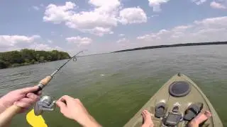 Bomber Fat Free Shad Crankbait Review In Action