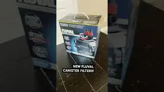 New fluval canister filter #jesus  #Shorts #Trending ￼#fyp