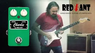 Charlie (křem&iacute;k-germanium fuzz) od Red Ant (hraje Vladim&iacute;r Galusek)