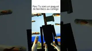 real #fypviralシ #minecraft #trainsim #danslabulledecali #memes #humor #roblox #cat #train #gaming kk