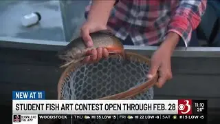 Can you reel in the big prize in the national Fish Art Contest?