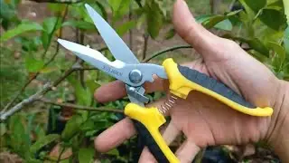 Review Gunting Serbaguna Soligen SLM-02 (Untuk Dahan, Seng, Holo Baja Ringan)