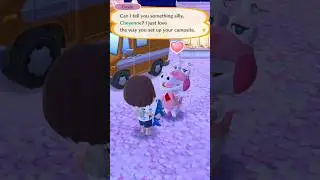 calm night at the camp site #animalcrossing #acpc #acnh #boots #gayle #julian
