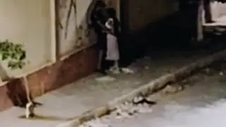 بـنتي مــشات تــقرا في بيت مهجور