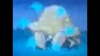 (ISHC 2014) LIVE SHINY PARASECT AFTER 6147 RE'S IN VW2