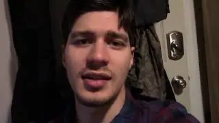 Что такое брабантский?