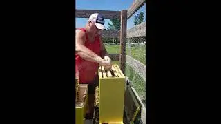 Best Day Ever Bees: Adding a Honey Super to the Nuc Hive