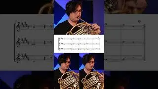 Turns out a lot of male vocals work on the French horn.