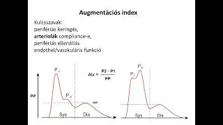 Ki&eacute;rt&eacute;kel&eacute;si &uacute;tmutat&oacute;   Arteriograph FILM