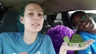 9.9.16 -- Turtle FAIL