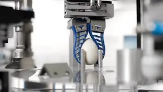 Your versatile Gripping Application finds a fitting Solution
