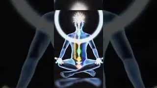 Every Day  Positive High Vibration❣️🌹❣️ #viral #viralshort #plr #healing #soulhealing