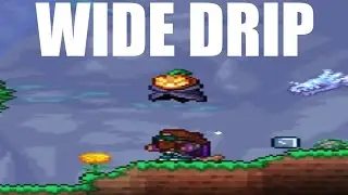 Wide Drip (Terraria meme)