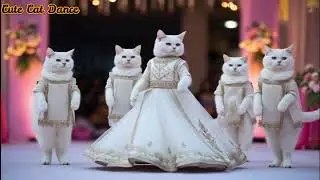 Cat Dance Challenge 🐱🔥 |Funny Cat Dance 😂🔥