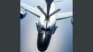 Ode to Crew Dogs