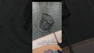 She Refused Three Times&hellip; Then Finally Ate | Musky on the Fly