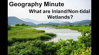 What are Inland/Non-tidal Wetlands?