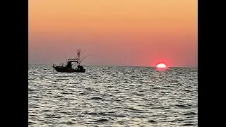 Lake Erie Jig 2025