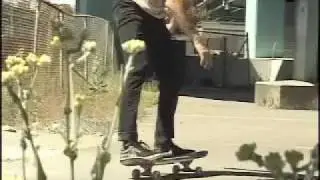 Jason Adams - Oj Wheels
