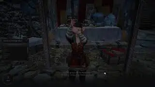 Black Desert - Disappearing money bug