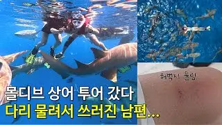 몰디브 상어 투어 갔다 다리 물려서 쓰러진 남편... - 몰디브(1)