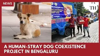 How is Bengaluru planning to handle stray dogs? | BBMP