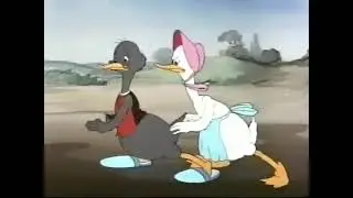 War between parents of chick 🐥 and duck 🦆