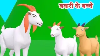 Bakri Ke Saat Bacche Or Bhediya | Seven Little Goats | Bakri Ke Bacche Ki Video | Goat Cartoon Video