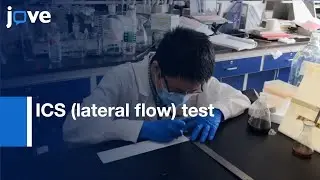 ICS (lateral flow) test for Detection of Micromolecular Compounds | Protocol Previe